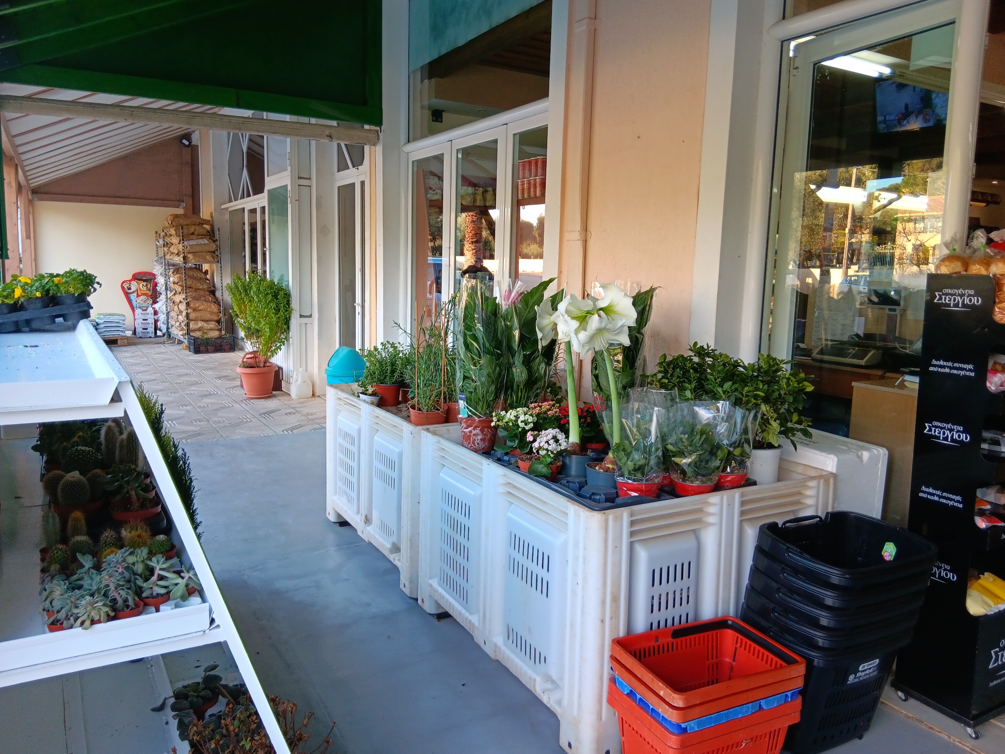 Φρουτοχονδρική Κεφαλονιάς